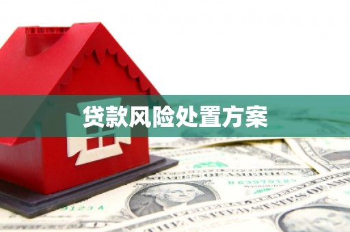 乌海贷款风险处置方案