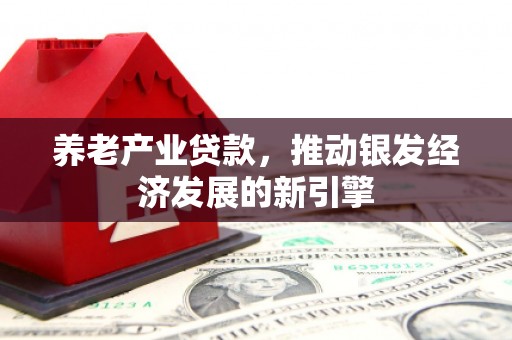 乌海养老产业贷款，推动银发经济发展的新引擎