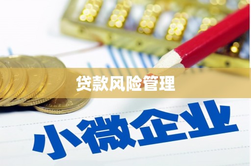 乌海贷款风险管理