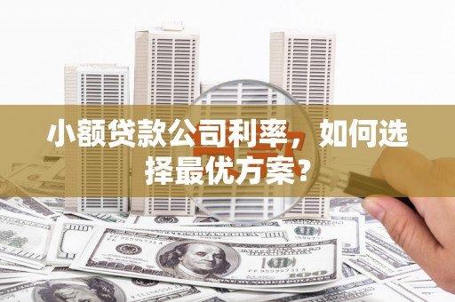 乌海小额贷款公司利率，如何选择最优方案？