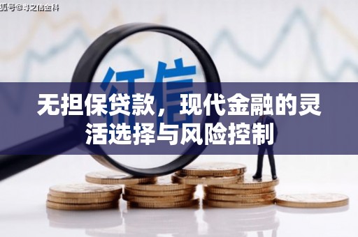 乌海无担保贷款，现代金融的灵活选择与风险控制
