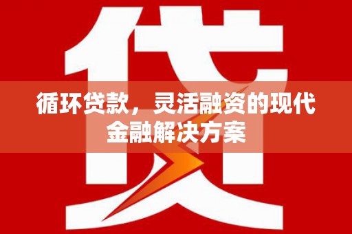 乌海循环贷款，灵活融资的现代金融解决方案
