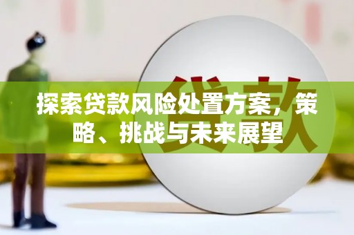 乌海探索贷款风险处置方案，策略、挑战与未来展望