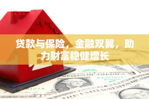 乌海贷款与保险，金融双翼，助力财富稳健增长