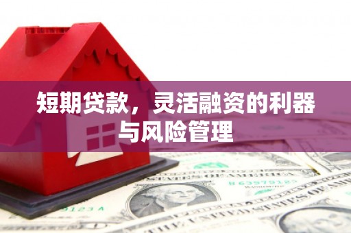 乌海短期贷款，灵活融资的利器与风险管理