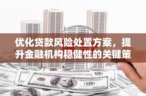 乌海优化贷款风险处置方案，提升金融机构稳健性的关键策略