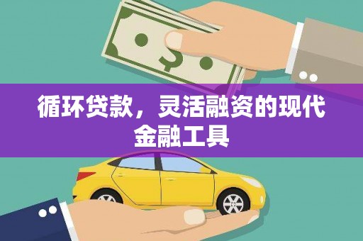 乌海循环贷款，灵活融资的现代金融工具