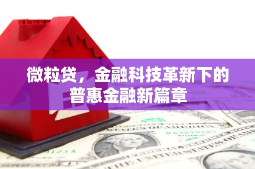 乌海微粒贷，金融科技革新下的普惠金融新篇章