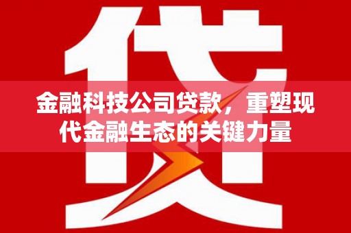 乌海金融科技公司贷款，重塑现代金融生态的关键力量