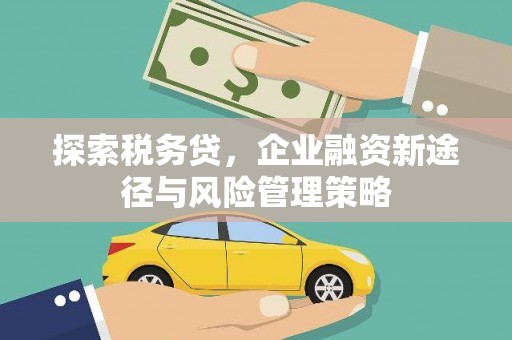 乌海探索税务贷，企业融资新途径与风险管理策略
