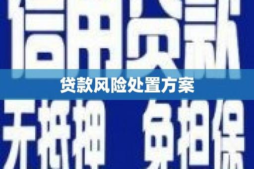 乌海贷款风险处置方案