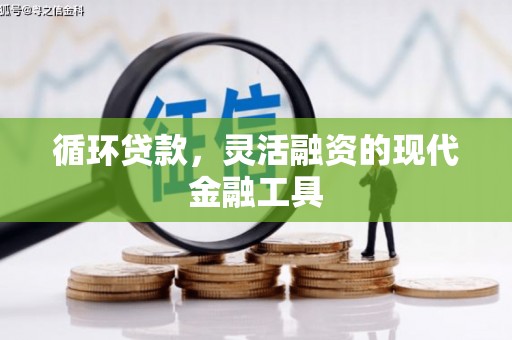 乌海循环贷款，灵活融资的现代金融工具