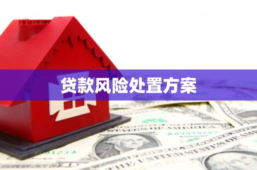 乌海贷款风险处置方案